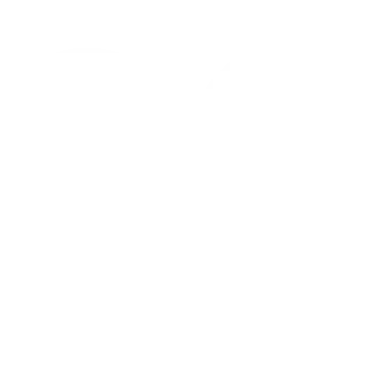 quote-icon
